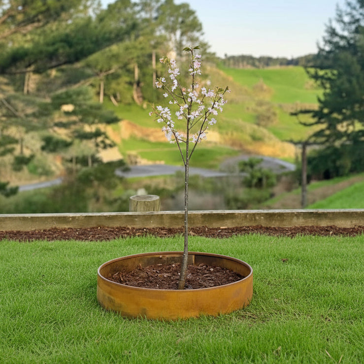 Custom Corten Garden Edging & Tree Rings