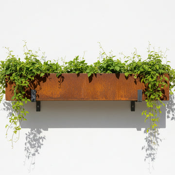 Narrow Lipped Planter