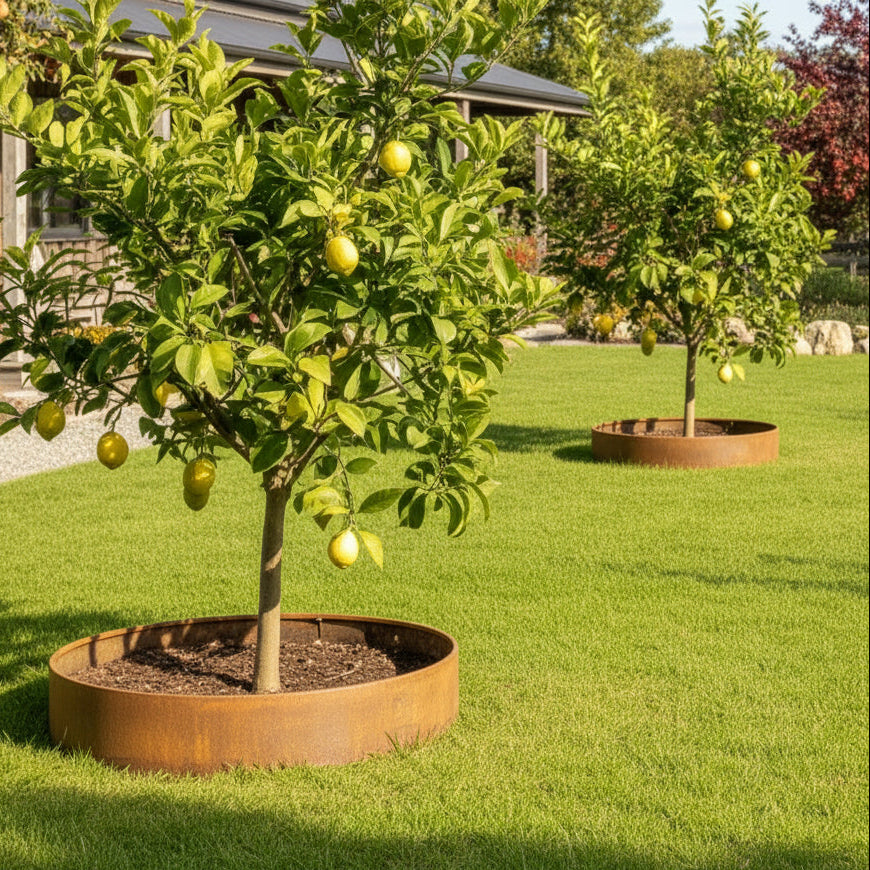 Corten Steel Tree Ring