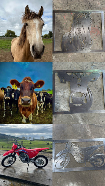 Live Edge Timber Top NZ Wildlife Coffee Table