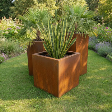 Custom Corten Boxed Planters